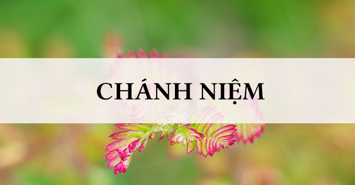 Mọi phương pháp thiền đều có khả năng phát triển chánh niệm - Thiền Sư Ajahn Chah