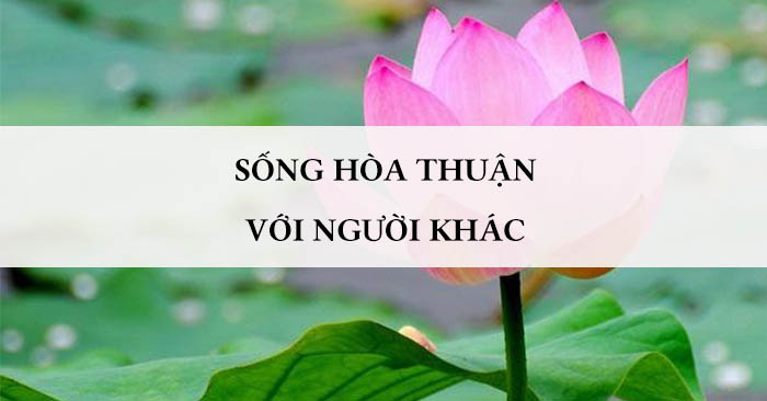 Sống hòa thuận, hài hòa với người khác - Thiền Sư Ajahn Chah