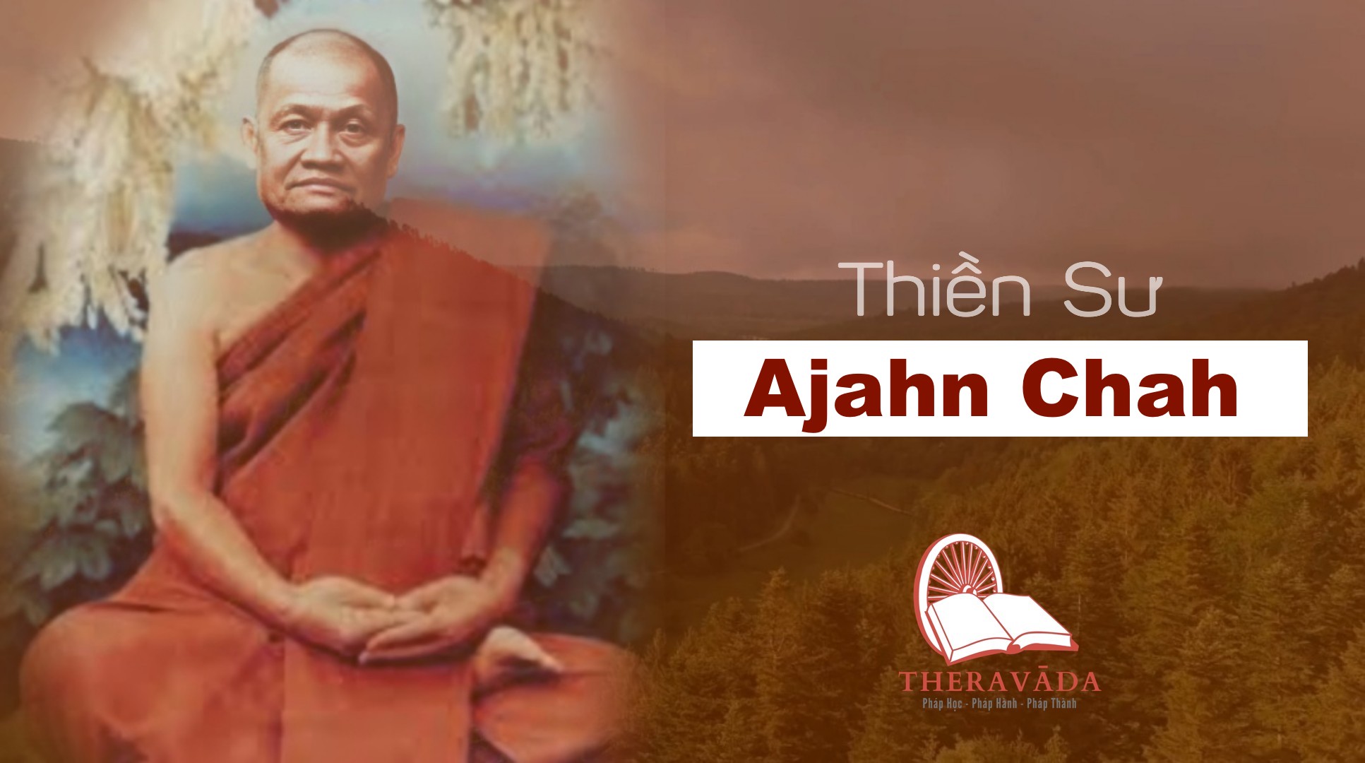 Thiền sư Achaan Chaa 3