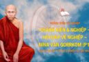 Chánh Kiến & Nghiệp - Hỏi Đáp Về Nghiệp - Nina Van Gorrkom (p1)