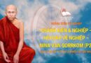 Chánh Kiến & Nghiệp - Hỏi Đáp Về Nghiệp - Nina Van Gorrkom (p2)
