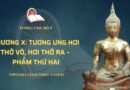 Tương Ưng Bộ V – Chương X: Tương Ưng Hơi Thở Vô, Hơi Thở Ra – Phẩm Thứ Hai