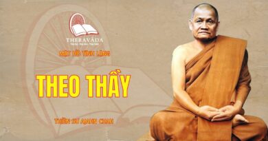 THEO THẦY