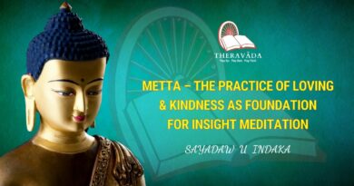 METTA - THE PRACTICE OF LOVING & KINDNESS AS FOUNDATION FOR INSIGHT MEDITATION - SAYADAW U INDAKA