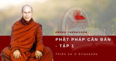 https://theravada.vn/wp-content/uploads/2020/05/Phat-phap-can-ban-tap-1-thien-su-u-silananda-theravada.jpg