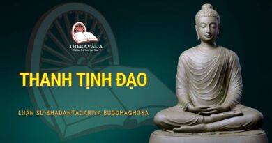 THANH TINH DAO BHADANTACARIYA BUDDHAGHOSA THERAVADA