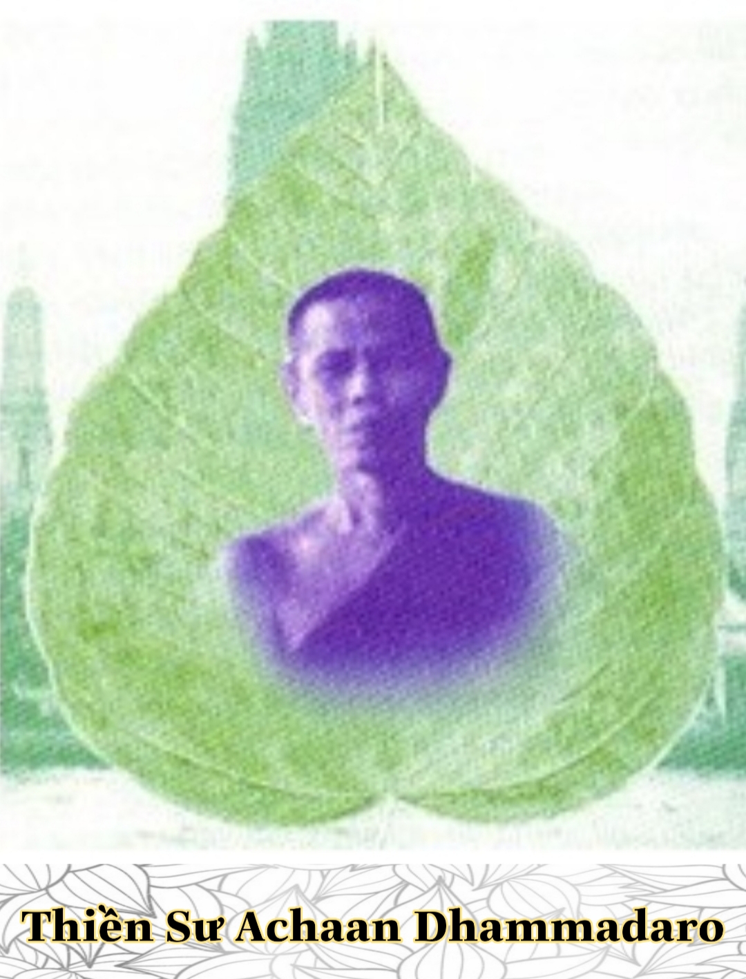 Thiền sư Achaan Dhammadaro 1