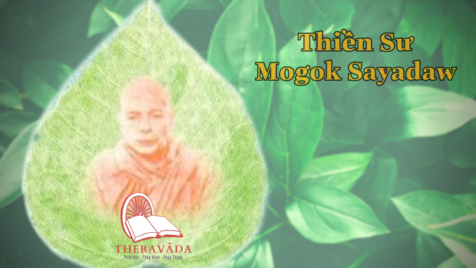 Thiền sư Mogok Sayadaw 2