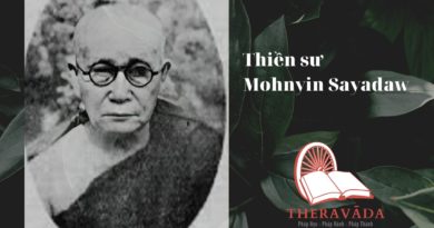 Thiền sư Mohnyin Sayadaw 2