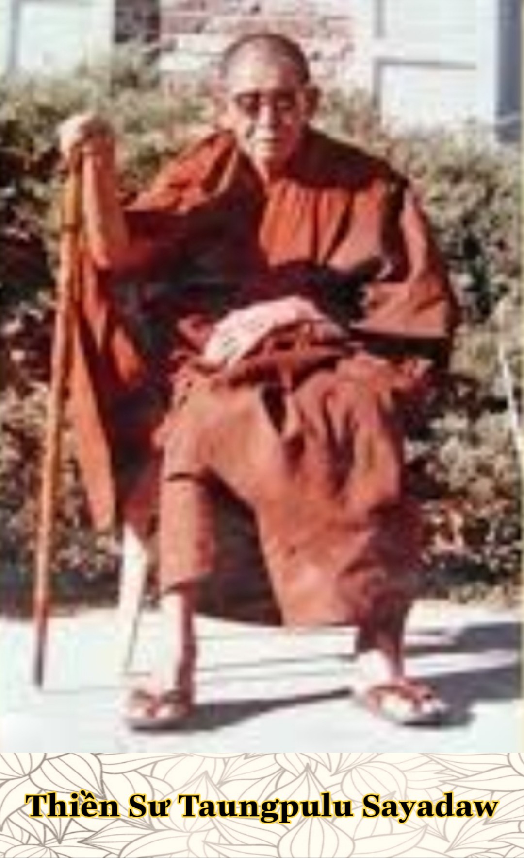 Thiền sư Taungpulu Sayadaw 1