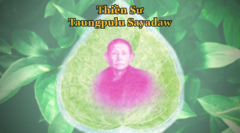 Thiền sư Taungpulu Sayadaw