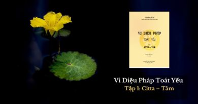 Vi-Dieu-Phap-Toat-Yeu-tap-1-citta-tam-theravada 2