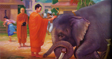 Sự Tích Phật Lực Thứ Ba - Đức Phật Cảm Thắng Voi Nalagiri