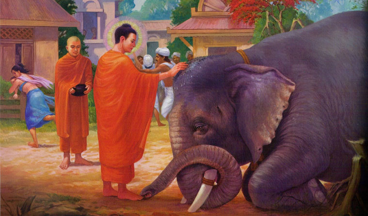 Sự Tích Phật Lực Thứ Ba - Đức Phật Cảm Thắng Voi Nalagiri