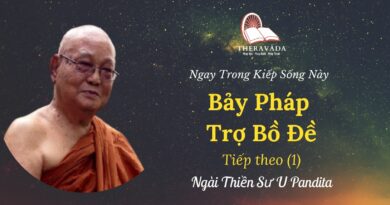 Bay-phap-tro-bo-de-1-Ngay-trong-kiep-song-nay-U-Pandita-Theravada