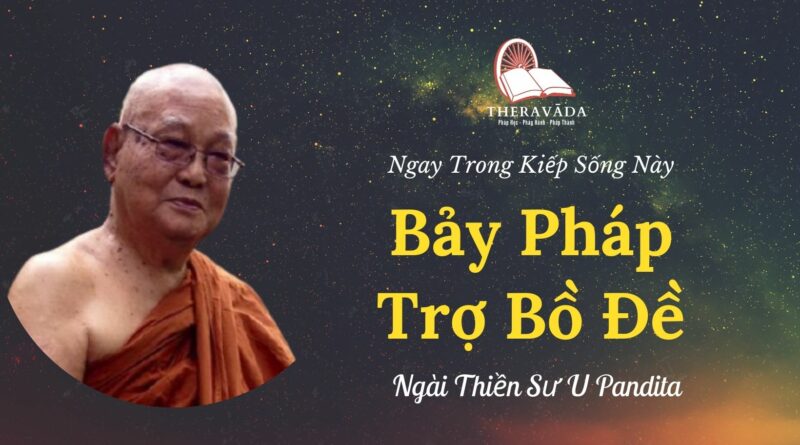 Bay-phap-tro-bo-de-Ngay-trong-kiep-song-nay-U-Pandita-Theravada