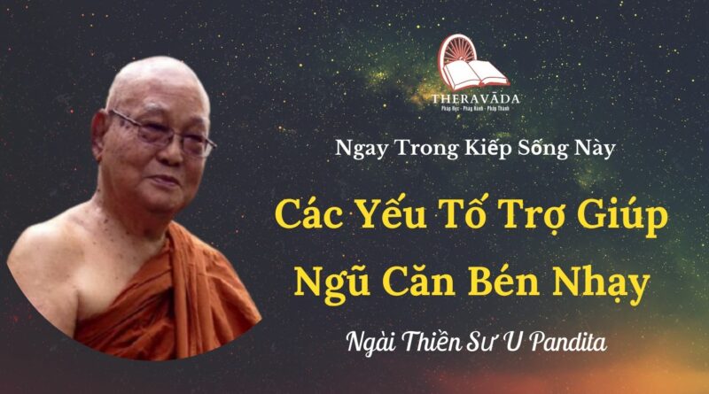 Cac-yeu-to-tro-giup-ngu-can-ben-nhay-Ngay-trong-kiep-song-nay-U-Pandita-Theravada