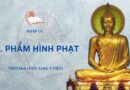Tiểu Bộ – Pháp Cú – 10. Phẩm Hình Phạt – Tỳ Khưu Indacanda Dịch