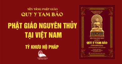 Videos [QUY Y TAM BẢO] 28. Phật Giáo Nguyên Thủy Tại Việt Nam - Tỳ Khưu Hộ Pháp