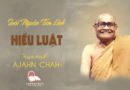 Videos [suối Nguồn Tâm Linh] 06. Hiểu Luật | Ajahn Chah