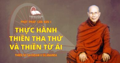 Phật Pháp Căn Bản Phần I - Thực Hành Thiền Tha Thứ Và Thiền Từ Ái