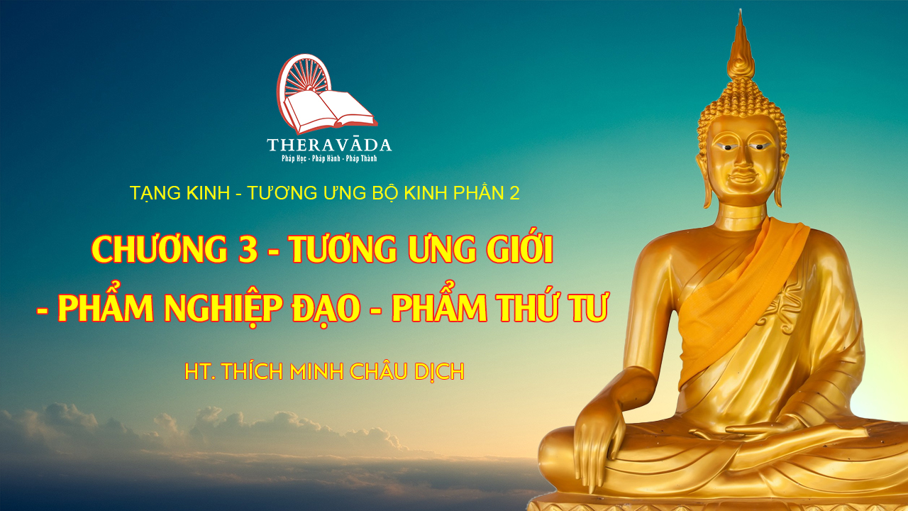 videos-13-ch-ng-3-t-ng-ng-gi-i-ph-m-nghi-p-o-ph-m-th-t