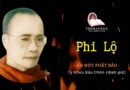 ÂN ĐỨC PHẬT BẢO - PHI LỘ