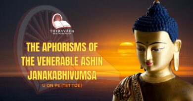 THE APHORISMS OF THE VENERABLE ASHIN JANAKABHIVUMSA - U ON PE (TET TOE)