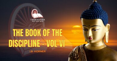 THE BOOK OF THE DISCIPLINE VOL VI