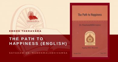 THE PATH TO HAPPINESS (ENGLISH) - SAYADAW DR. NANDAMALABHIVAMSA