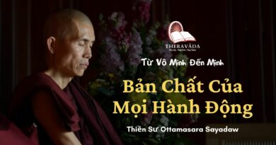 Ban-chat-cua-moi-hanh-dong-Tu-vo-minh-den-minh-Thien-su-Ottamasara-Theravada