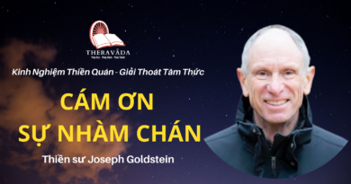Cam-on-su-nham-chan-Joseph-Goldstein-Theravada (2)