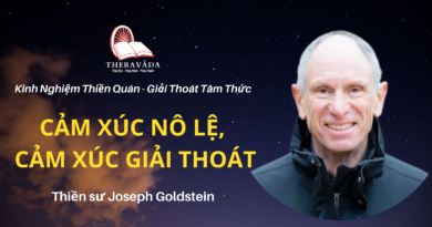 Cam-xuc-no-le-cam-xuc-giai-thoat-Joseph-Goldstein-Theravada