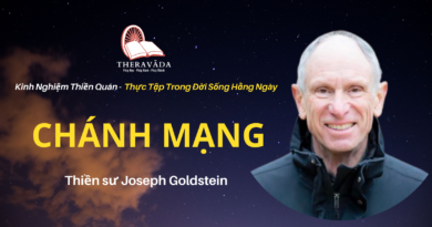 Chanh-mang-Joseph-Goldstein-Theravada