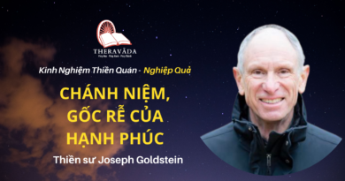 Chanh-niem-goc-re-cua-hanh-phuc-Joseph-Goldstein-Theravada