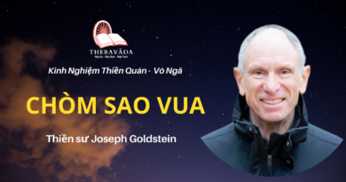 Chom-sao-vua-Joseph-Goldstein-Theravada