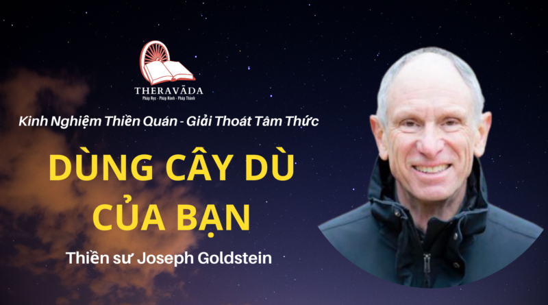 Dung-cay-du-cua-ban-Joseph-Goldstein-Theravada
