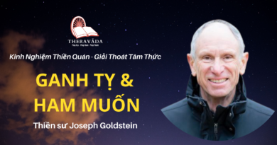 Ganh-ty-va-ham-muon-Joseph-Goldstein-Theravada