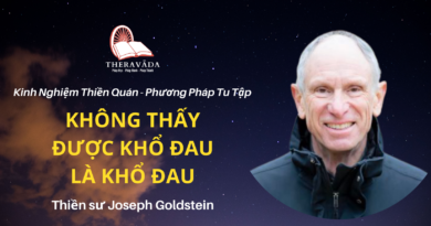 Khong-thay-duoc-kho-dau-la-kho-dau-Joseph-Goldstein-Theravada
