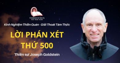 Loi-phan-xet-thu-500-Joseph-Goldstein-Theravada