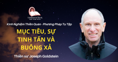 Muc-tieu-su-tinh-tam-va-buong-xa-Joseph-Goldstein-Theravada