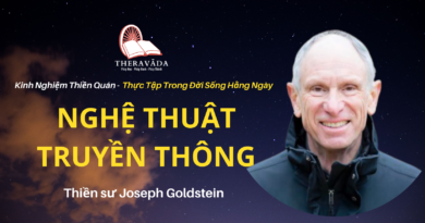 Nghe-thuat-truyen-thong-Joseph-Goldstein-Theravada