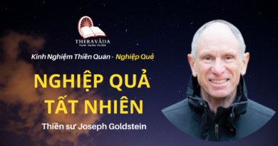 Nghiep-qua-tat-nhien-Joseph-Goldstein-Theravada