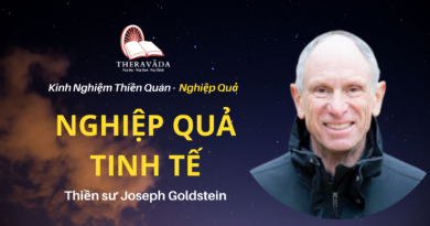 Nghiep-qua-tinh-te-Joseph-Goldstein-Theravada