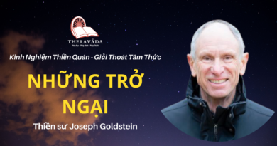 Nhung-tro-ngai-Joseph-Goldstein-Theravada
