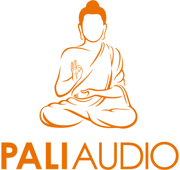 PaliAudioOrange