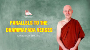 Parallels to the Dhammapada Verses