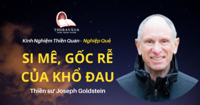 Si-me-goc-re-cua-kho-dau-Joseph-Goldstein-Theravada
