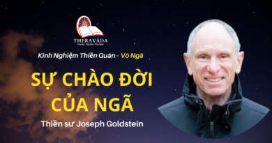 Su-chao-doi-cua-nga-Joseph-Goldstein-Theravada