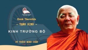 TAM TANG THEO CHU DE HT THICH MINH CHAU THERAVADA 2